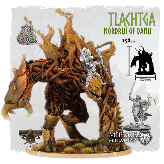 Tlachtga, Mórdruí of Danu on Foot and on Root Beast