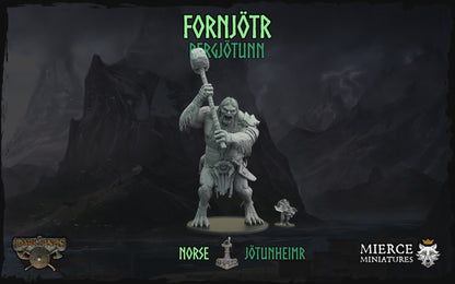 Fornjötr, Bergjötunn